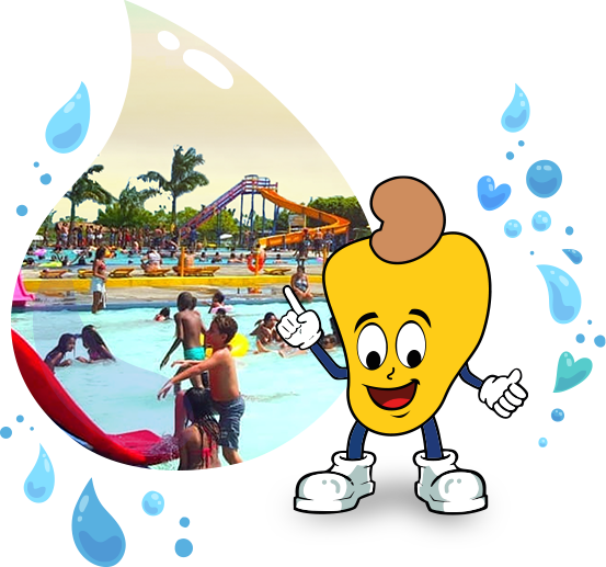 Atrações incríveis